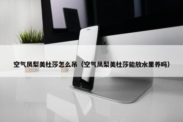 空气凤梨美杜莎怎么吊（空气凤梨美杜莎能放水里养吗）