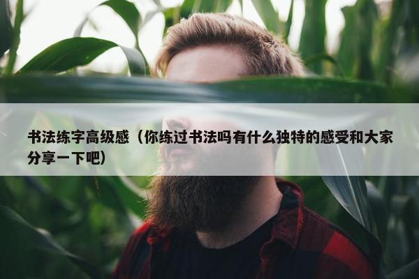 书法练字高级感（你练过书法吗有什么独特的感受和大家分享一下吧）
