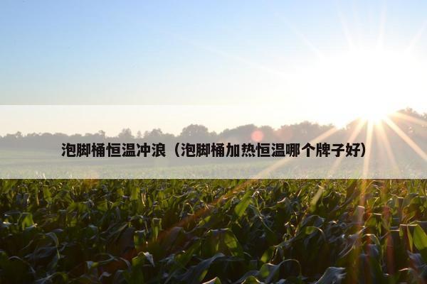 泡脚桶恒温冲浪（泡脚桶加热恒温哪个牌子好）