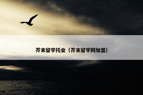 芥末留学托业（芥末留学网加盟）