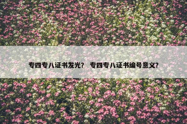 专四专八证书发光？ 专四专八证书编号意义？