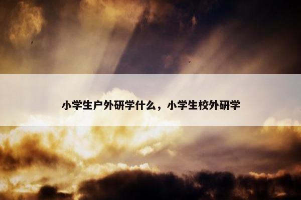 小学生户外研学什么，小学生校外研学