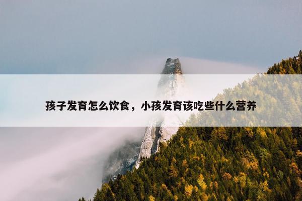 孩子发育怎么饮食，小孩发育该吃些什么营养