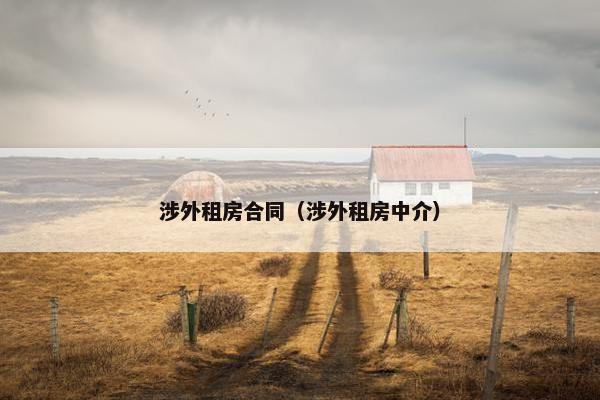 涉外租房合同（涉外租房中介）