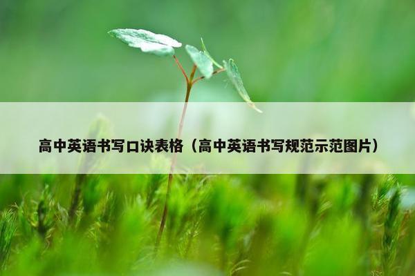 高中英语书写口诀表格（高中英语书写规范示范图片）
