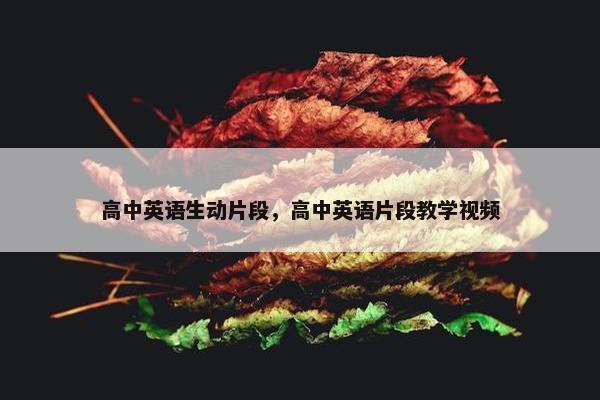 高中英语生动片段，高中英语片段教学视频