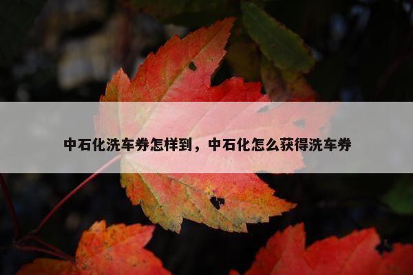 中石化洗车券怎样到，中石化怎么获得洗车券
