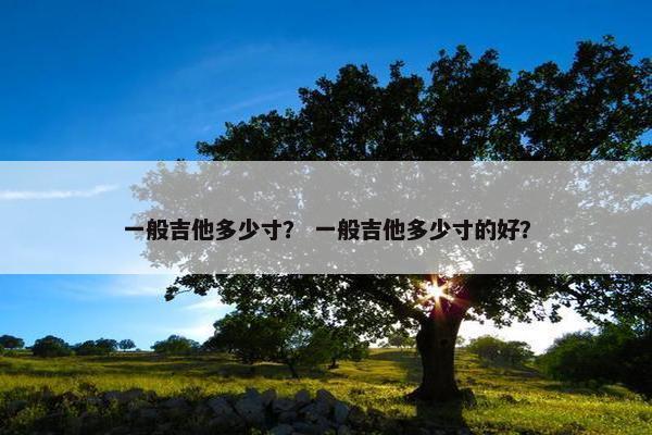 一般吉他多少寸？ 一般吉他多少寸的好？