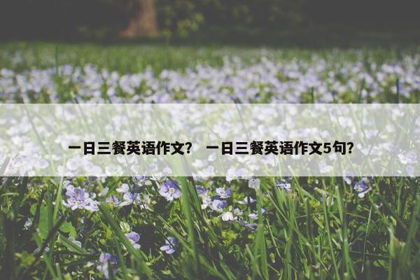 一日三餐英语作文？ 一日三餐英语作文5句？
