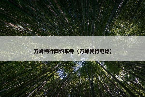 万峰畅行网约车券（万峰畅行电话）