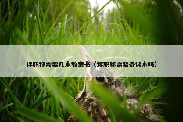 评职称需要几本教案书（评职称需要备课本吗）