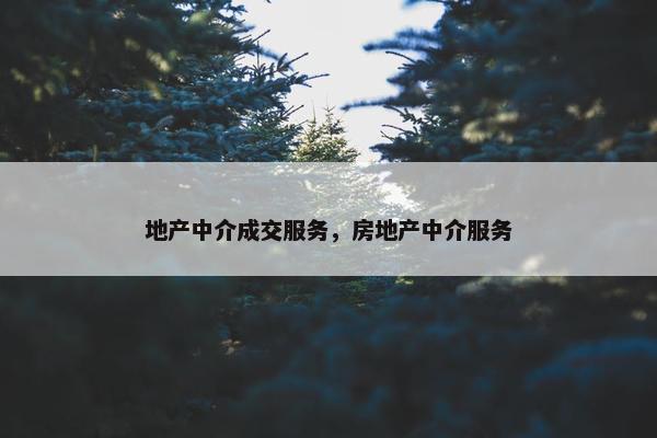 地产中介成交服务，房地产中介服务