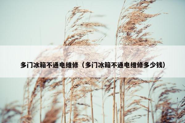 多门冰箱不通电维修（多门冰箱不通电维修多少钱）