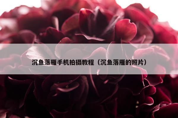 沉鱼落雁手机拍摄教程（沉鱼落雁的照片）