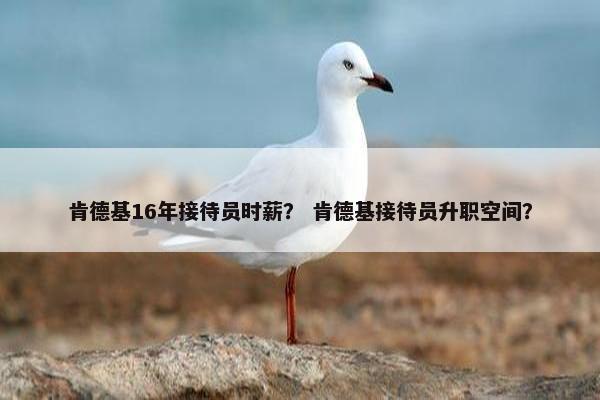 肯德基16年接待员时薪？ 肯德基接待员升职空间？