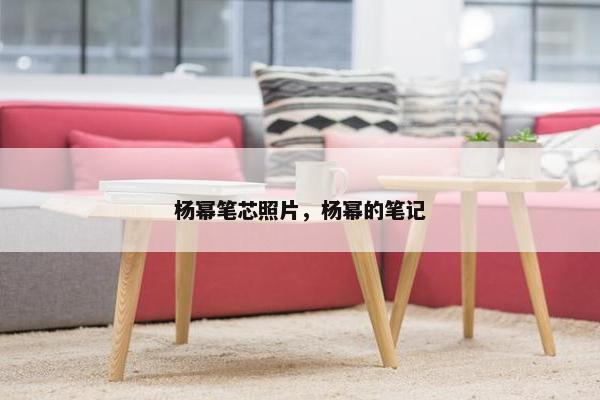 杨幂笔芯照片，杨幂的笔记