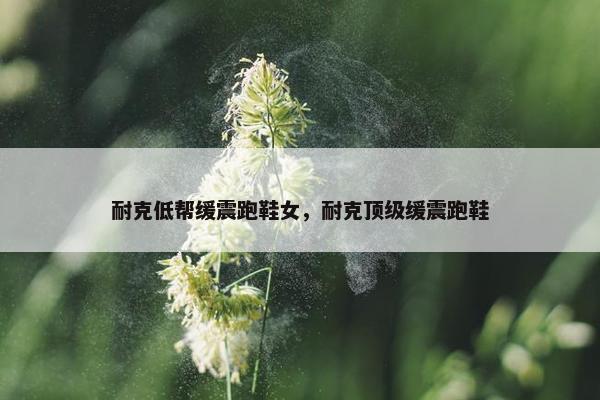 耐克低帮缓震跑鞋女，耐克顶级缓震跑鞋