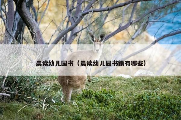 晨读幼儿园书（晨读幼儿园书籍有哪些）
