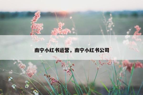 南宁小红书运营，南宁小红书公司