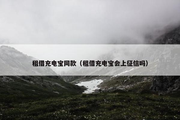 租借充电宝同款（租借充电宝会上征信吗）
