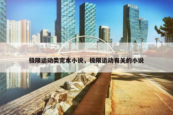极限运动类完本小说，极限运动有关的小说