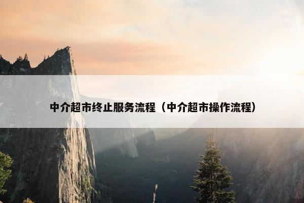 中介超市终止服务流程（中介超市操作流程）