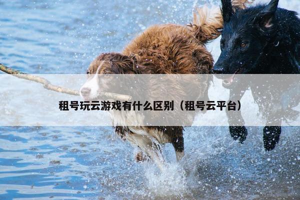 租号玩云游戏有什么区别（租号云平台）