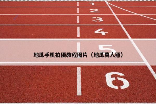 地瓜手机拍摄教程图片（地瓜真人照）