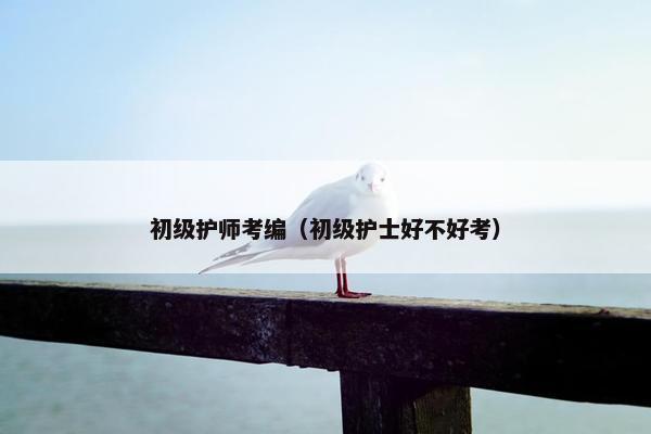 初级护师考编（初级护士好不好考）