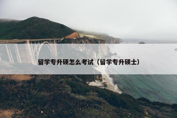 留学专升硕怎么考试（留学专升硕士）