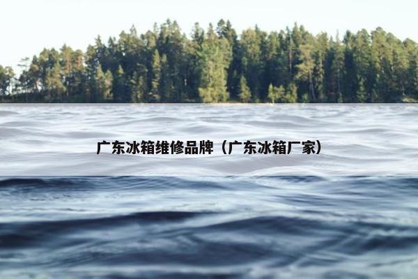 广东冰箱维修品牌（广东冰箱厂家）