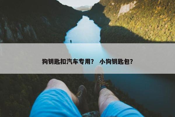 狗钥匙扣汽车专用？ 小狗钥匙包？
