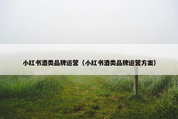 小红书酒类品牌运营（小红书酒类品牌运营方案）