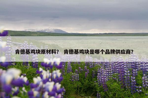 肯德基鸡块原材料？ 肯德基鸡块是哪个品牌供应商？