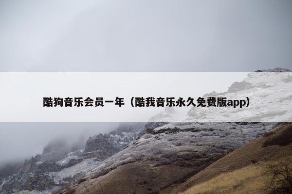 酷狗音乐会员一年（酷我音乐永久免费版app）
