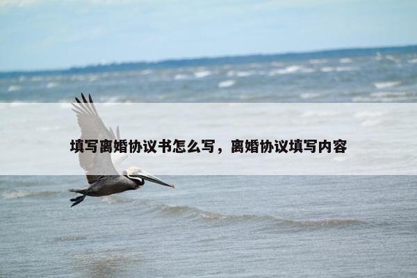填写离婚协议书怎么写，离婚协议填写内容