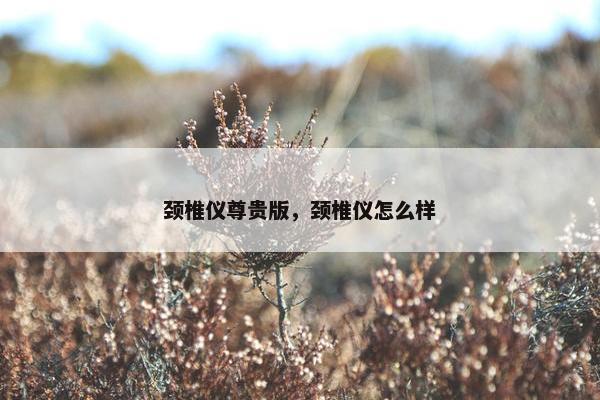 颈椎仪尊贵版，颈椎仪怎么样