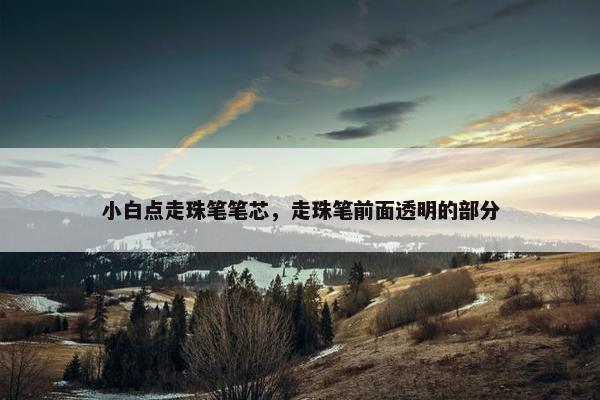 小白点走珠笔笔芯，走珠笔前面透明的部分