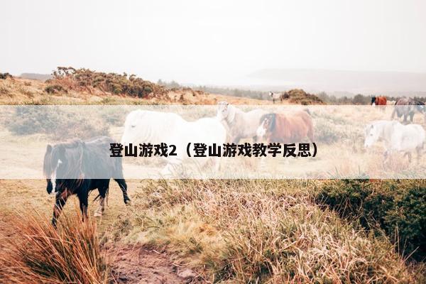 登山游戏2（登山游戏教学反思）