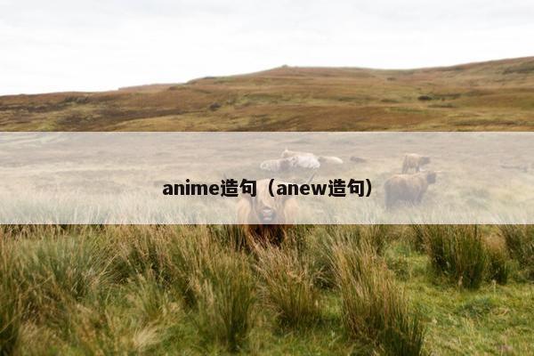 anime造句（anew造句）