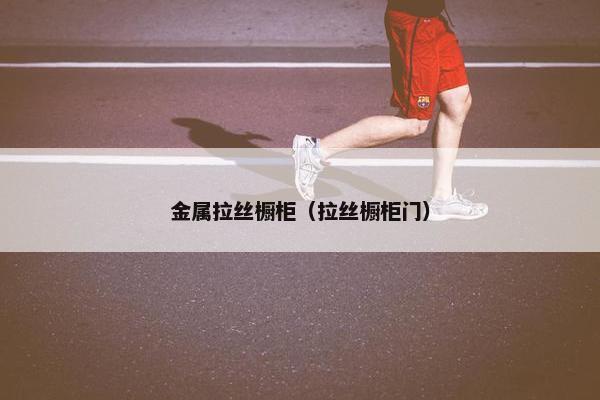 金属拉丝橱柜（拉丝橱柜门）