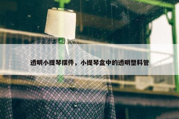 透明小提琴摆件，小提琴盒中的透明塑料管