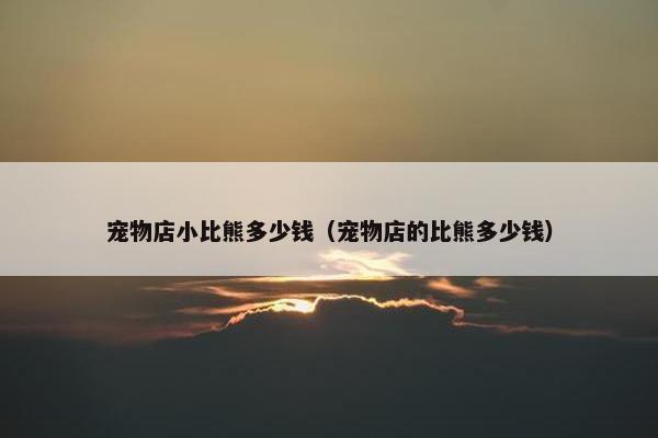 宠物店小比熊多少钱（宠物店的比熊多少钱）