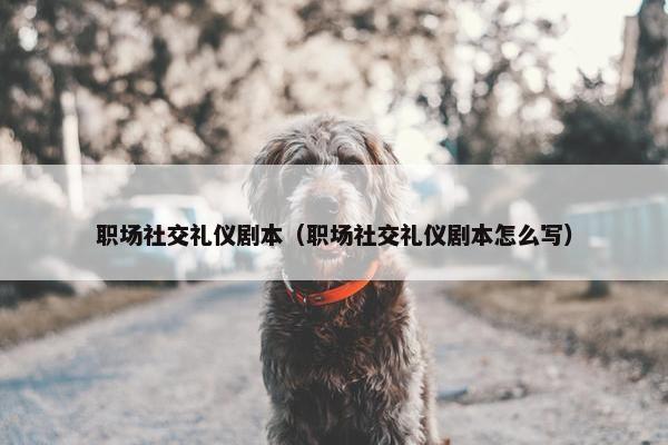 职场社交礼仪剧本（职场社交礼仪剧本怎么写）