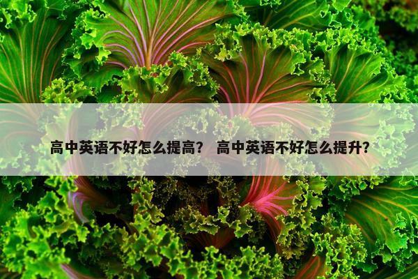 高中英语不好怎么提高？ 高中英语不好怎么提升？