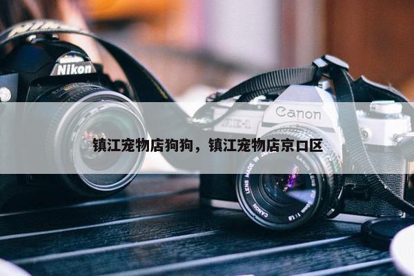 镇江宠物店狗狗，镇江宠物店京口区