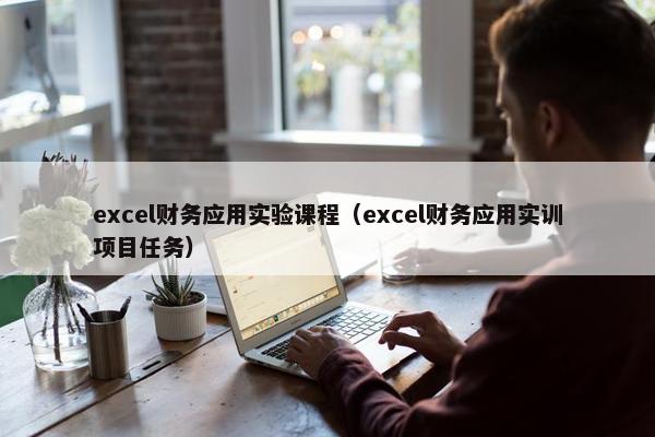 excel财务应用实验课程（excel财务应用实训项目任务）