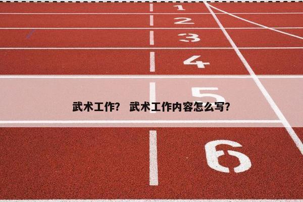 武术工作？ 武术工作内容怎么写？