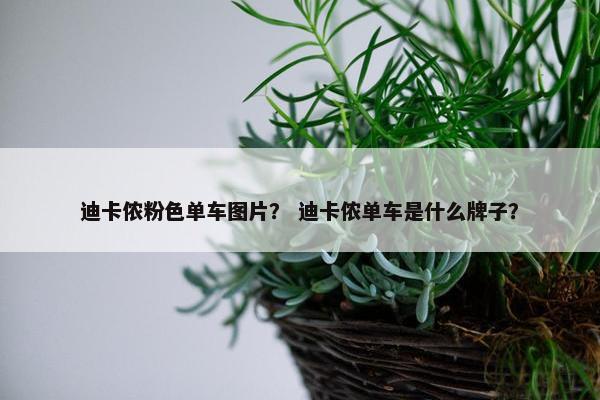迪卡侬粉色单车图片？ 迪卡侬单车是什么牌子？