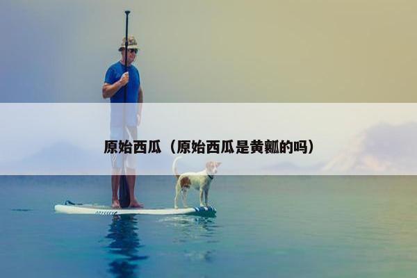 原始西瓜（原始西瓜是黄瓤的吗）